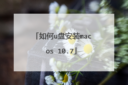 如何u盘安装mac os 10.7