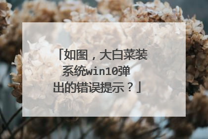 如图,大白菜装系统win10弹出的错误提示?