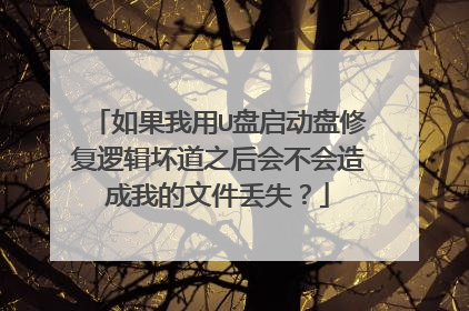 如果我用U盘启动盘修复逻辑坏道之后会不会造成我的文件丢失?