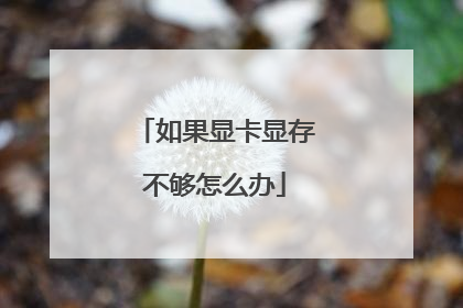 如果显卡显存不够怎么办
