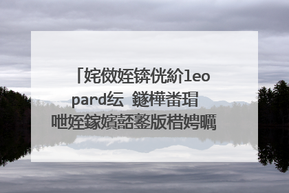 姹傚姪锛侊紒leopard纭�鐩樺畨瑁呭姪鎵嬪嚭鐜版棤娉曞啓鍏ョ‖鐩樼殑鐜拌薄锛侊紒锛�