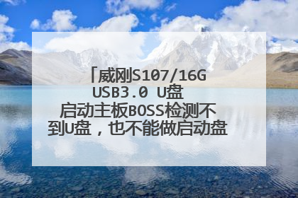 威刚S107/16G USB3.0 U盘 启动主板BOSS检测不到U盘,也不能做启动盘..求大虾帮帮忙