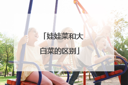 娃娃菜和大白菜的区别