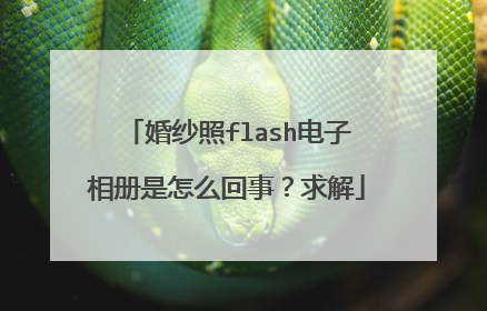 婚纱照flash电子相册是怎么回事?求解