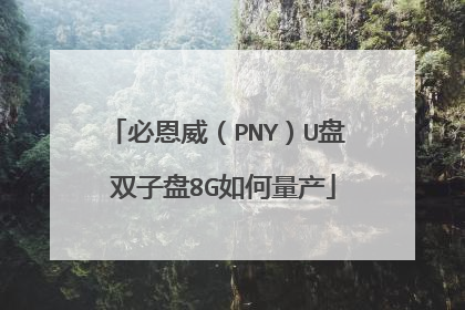 必恩威(PNY)U盘 双子盘8G如何量产