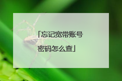 忘记宽带账号密码怎么查