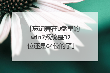 忘记弄在U盘里的win7系统是32位还是64位的了