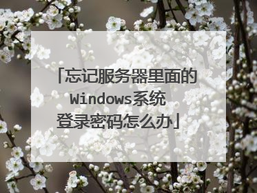 忘记服务器里面的Windows系统登录密码怎么办