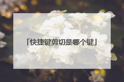 快捷键剪切是哪个键