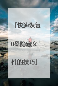 快速恢复U盘隐藏文件的技巧