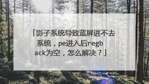 影子系统导致蓝屏进不去系统,pe进入后regback为空,怎么解决?