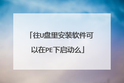 往U盘里安装软件可以在PE下启动么