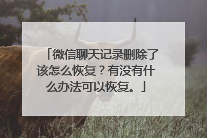 微信聊天记录删除了该怎么恢复？有没有什么办法可以恢复。