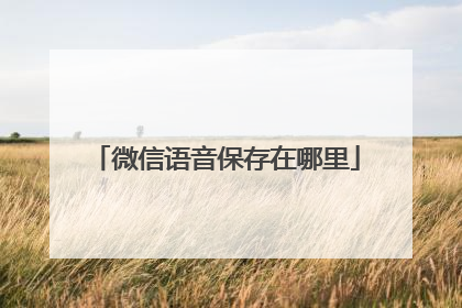 微信语音保存在哪里