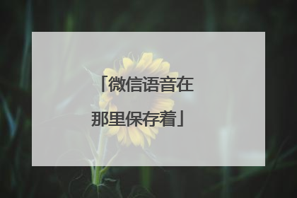 微信语音在那里保存着