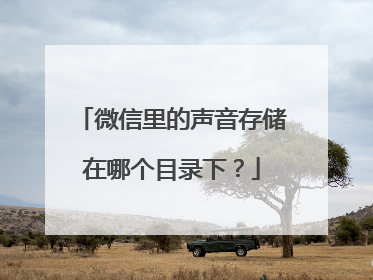 微信里的声音存储在哪个目录下?
