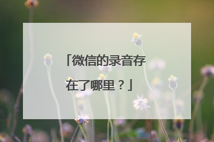 微信的录音存在了哪里?