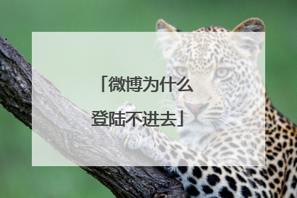 微博为什么登陆不进去