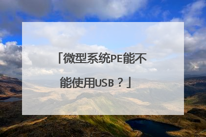 微型系统PE能不能使用USB？