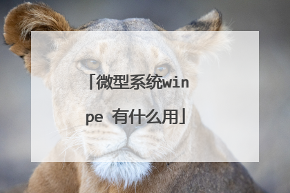 微型系统win pe 有什么用