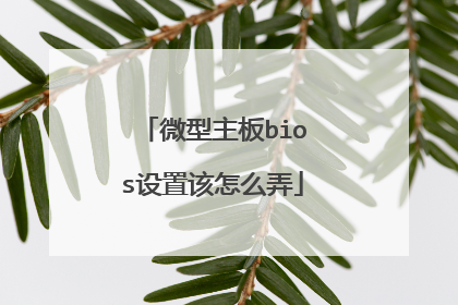 微型主板bios设置该怎么弄