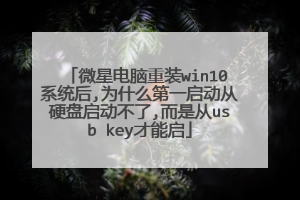 微星电脑重装win10系统后,为什么第一启动从硬盘启动不了,而是从usb key才能启