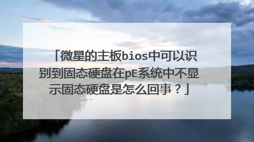 微星的主板bios中可以识别到固态硬盘在pE系统中不显示固态硬盘是怎么回事？