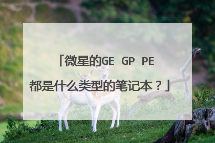 微星的GE GP PE都是什么类型的笔记本？