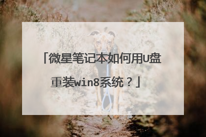 微星笔记本如何用U盘重装win8系统?