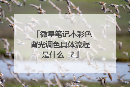 微星笔记本彩色背光调色具体流程是什么 ?