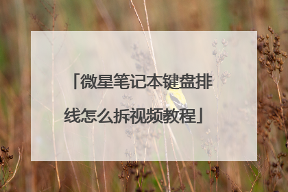 微星笔记本键盘排线怎么拆视频教程