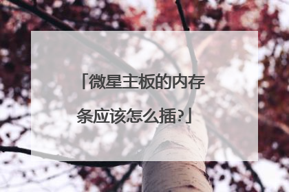 微星主板的内存条应该怎么插?