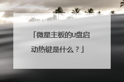 微星主板的U盘启动热键是什么？