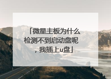 微星主板为什么检测不到启动盘呢，我插上u盘