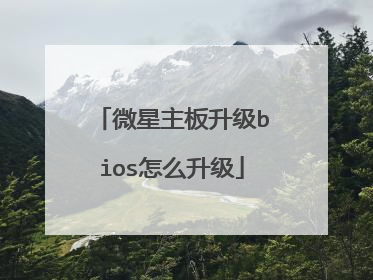 微星主板升级bios怎么升级