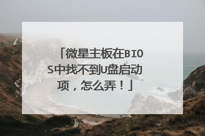 微星主板在BIOS中找不到U盘启动项，怎么弄！