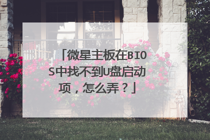 微星主板在BIOS中找不到U盘启动项,怎么弄?