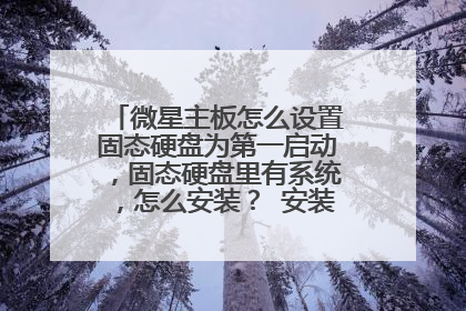 微星主板怎么设置固态硬盘为第一启动,固态硬盘里有系统,怎么安装? 安装完怎么分区?
