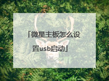 微星主板怎么设置usb启动