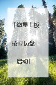 微星主板按f几u盘启动