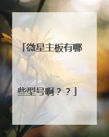微星主板有哪些型号啊??