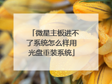 微星主板进不了系统怎么样用光盘重装系统
