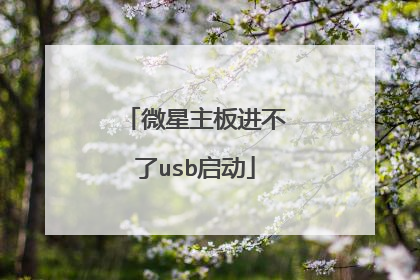 微星主板进不了usb启动
