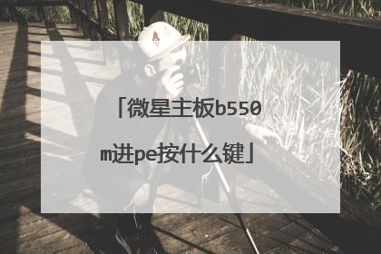 微星主板b550m进pe按什么键
