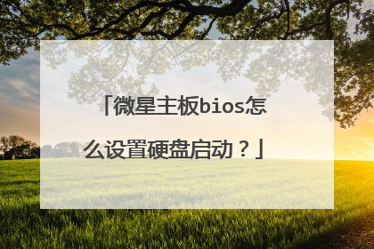 微星主板bios怎么设置硬盘启动?