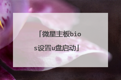 微星主板bios设置u盘启动