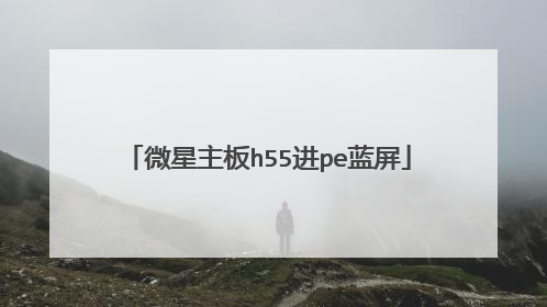 微星主板h55进pe蓝屏