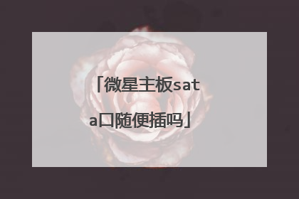 微星主板sata口随便插吗