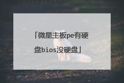 微星主板pe有硬盘bios没硬盘