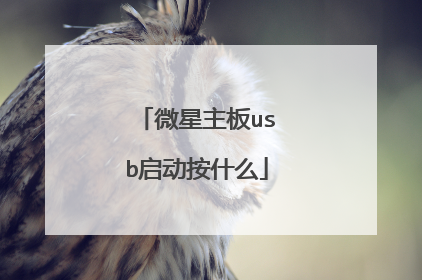 微星主板usb启动按什么